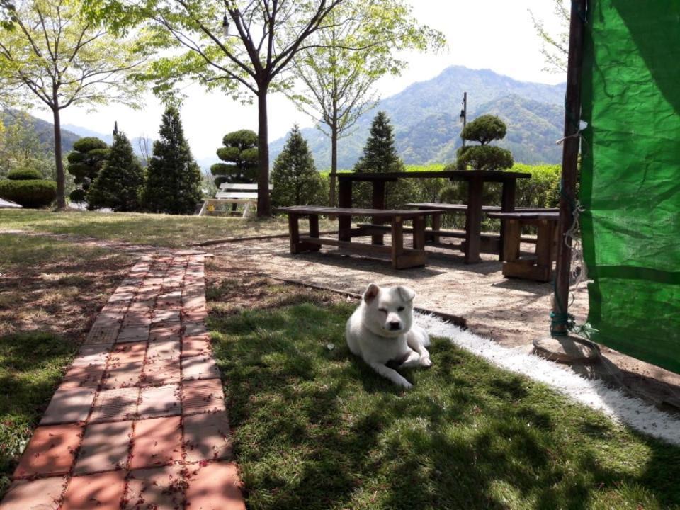 Chamjoeun Pension Chech'ŏn Buitenkant foto