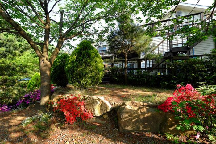 Chamjoeun Pension Chech'ŏn Buitenkant foto